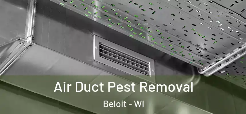  Air Duct Pest Removal Beloit - WI