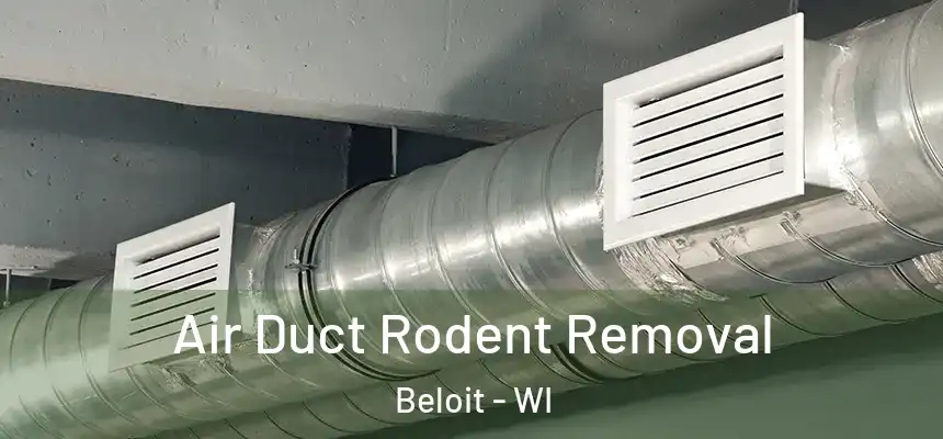  Air Duct Rodent Removal Beloit - WI