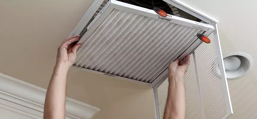 Preventive Cockroach-Proofing for Ducts in Beloit