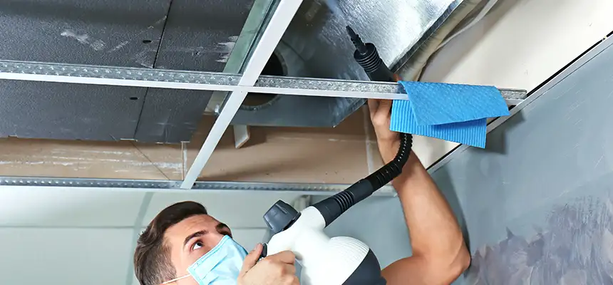 Our Air Duct Rodent Removal Services in Beloit, WI