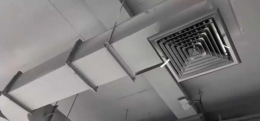 Restorative Allergy Relief Vent Cleaning – Coil, Blower & Housing Detail in Beloit