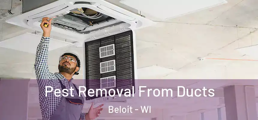  Pest Removal From Ducts Beloit - WI
