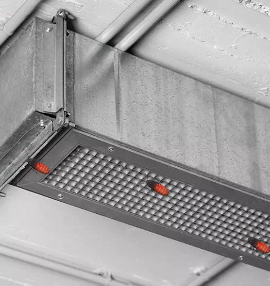 About Air Duct Cockroach Removal in Beloit, WI