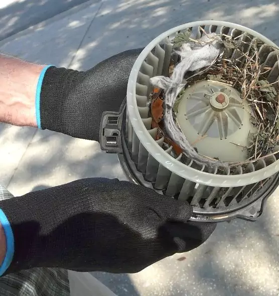 About Air Duct Mice Removal in Beloit, WI