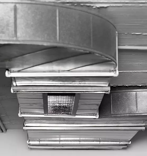 Professional Air Duct Pet Hair Removal in Beloit, WI