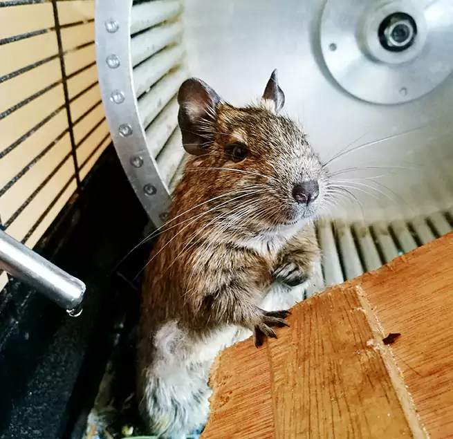 Why Homeowners & Businesses Trust Us Beloit, WI?